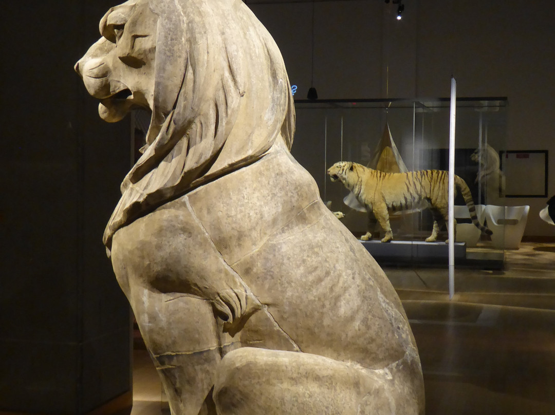 Musee de la Civilisation-魁北克市必去景点