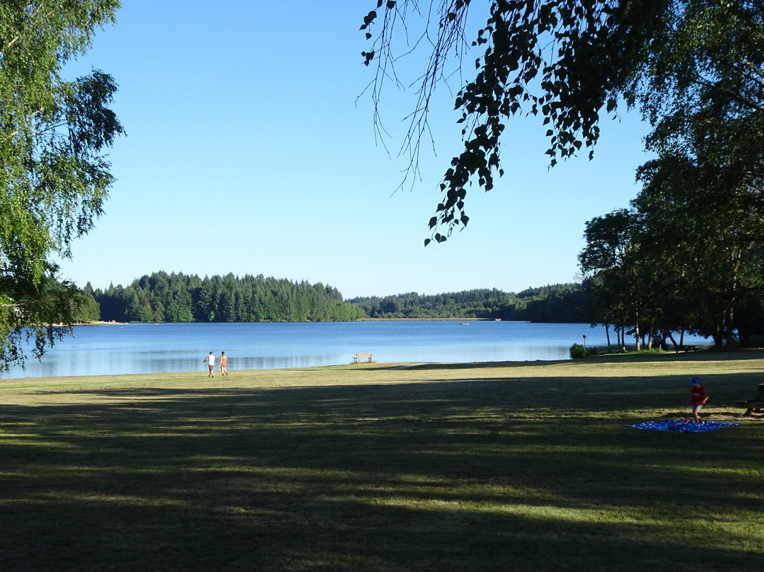 Lac de Seychemailles景点图片
