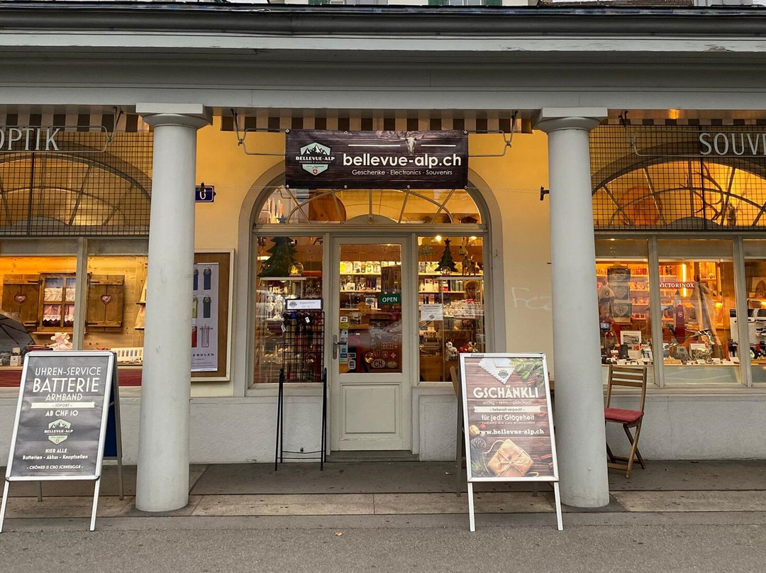 Bellevue-alp-苏黎世必去景点