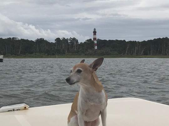 Proud Mary Charters-钦科蒂格岛必去景点