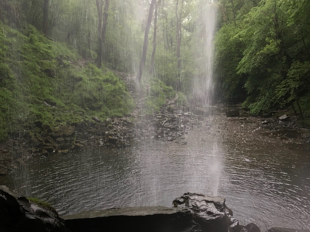 Henrhyd Falls景点图片