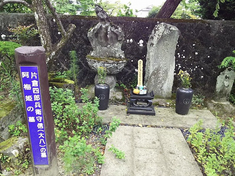 Toshin-ji Temple景点图片