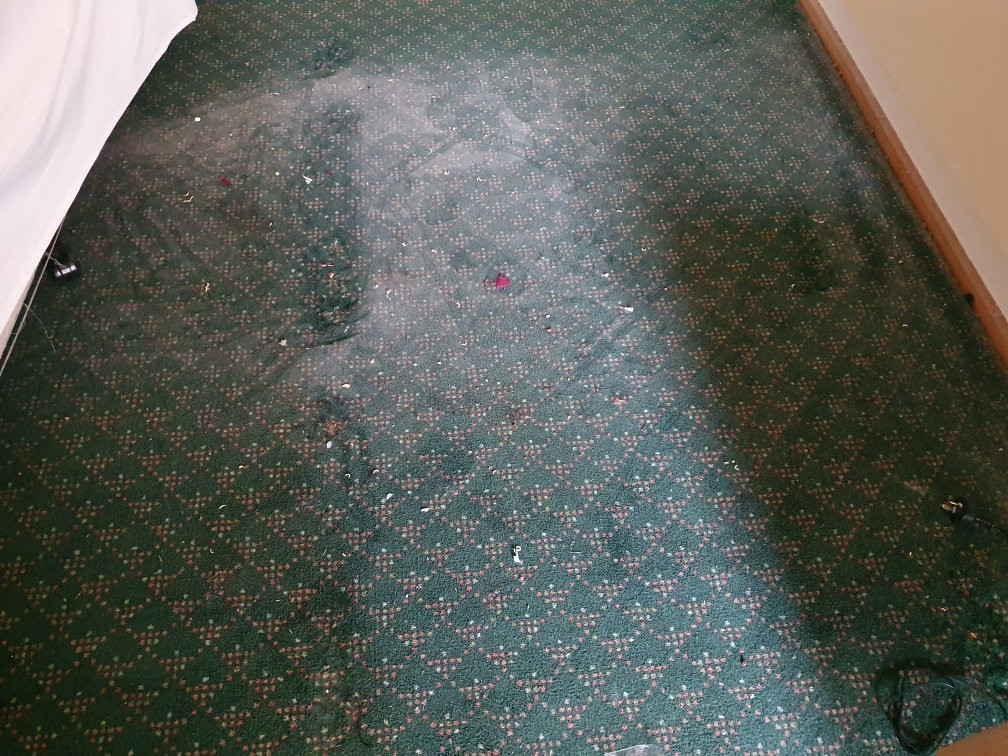 Cottonwood Motor Inn