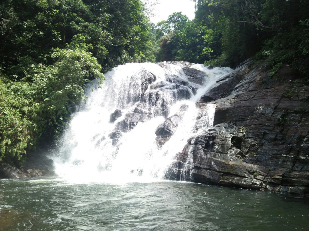 Tropical Rain Forest Sinharaja-Neluwa必去景点