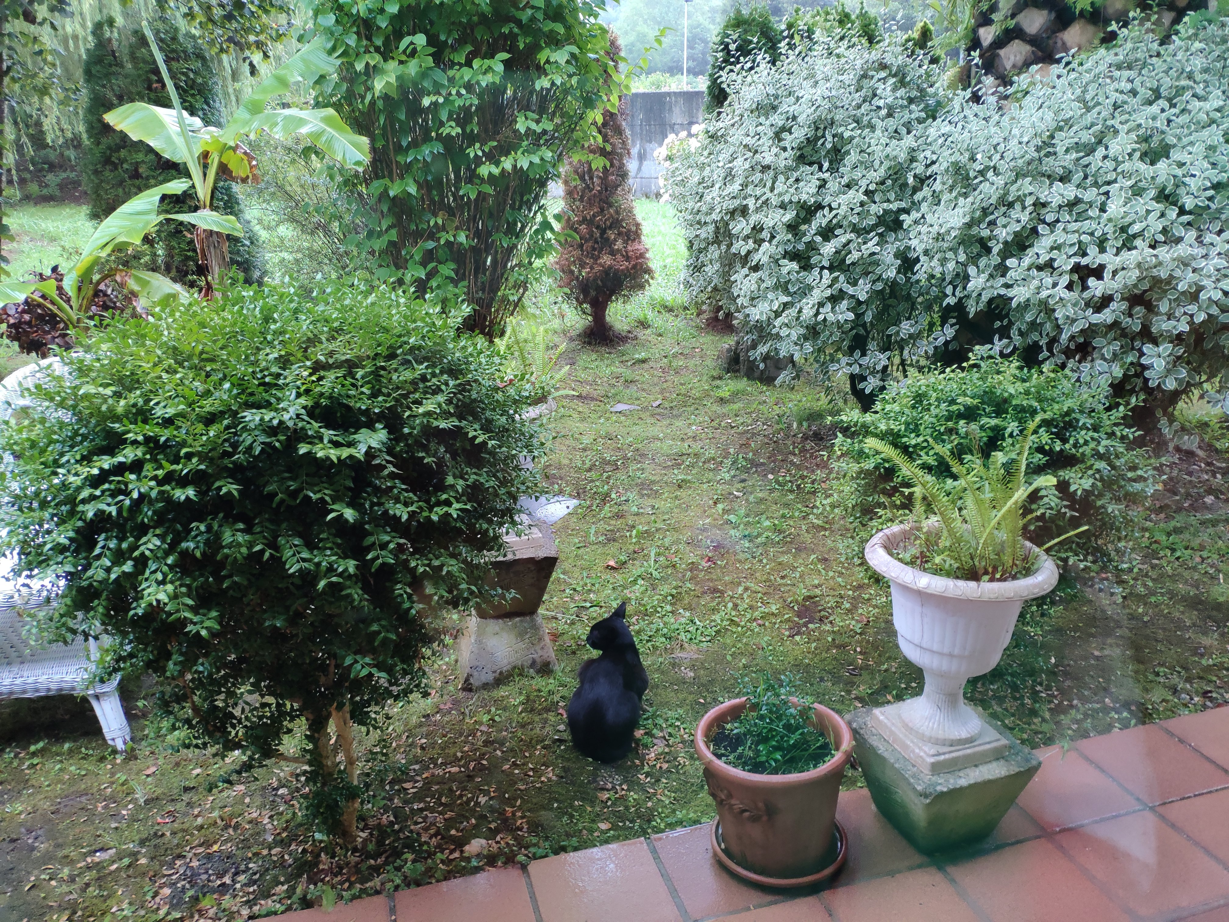 Casa Vieja del Sastre-官方