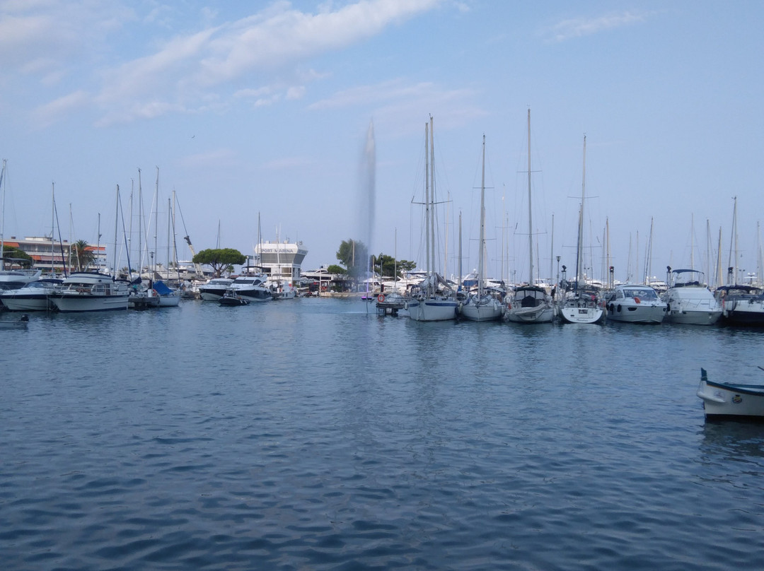 Port Marina Baie des Anges景点图片