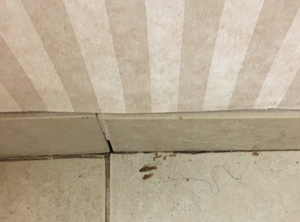 Baymont by Wyndham Bartonsville Poconos主图