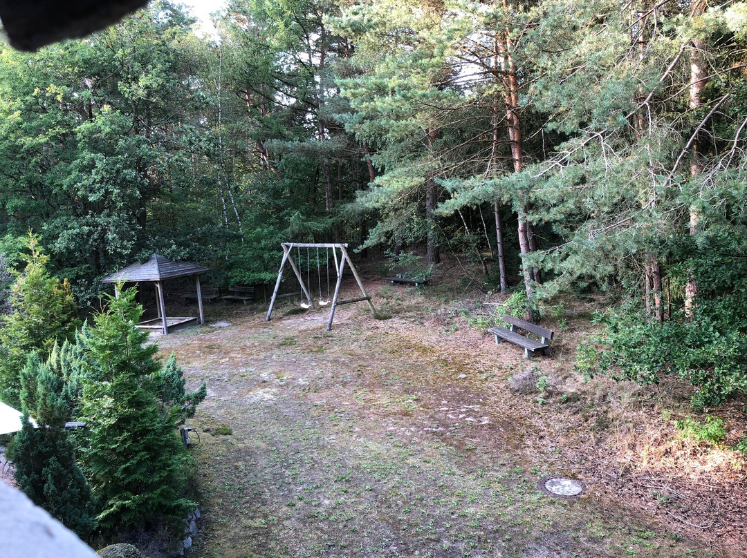 Heidehotel Soltauer Hof主图