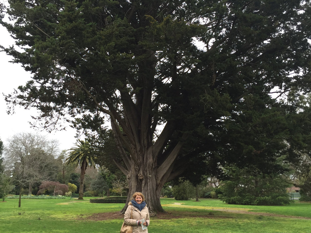 Colac Botanic Gardens-科拉克必去景点