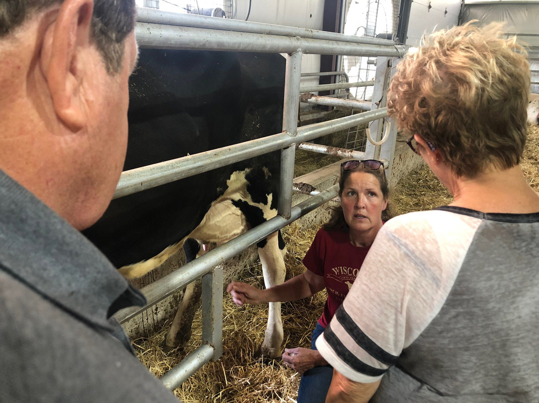 Hinchley's Dairy Farm Tours-Cambridge必去景点