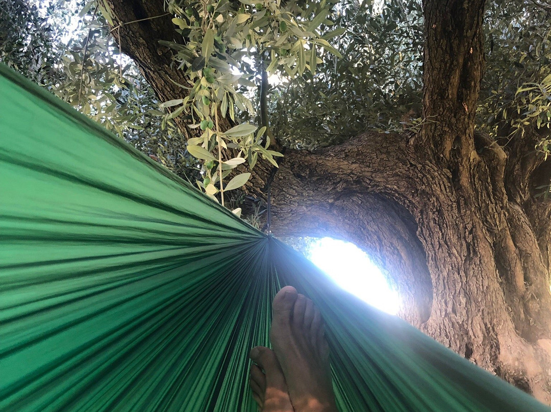 Deidamia Hotel主图