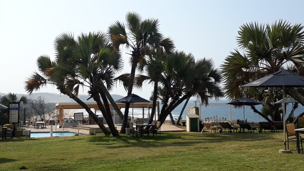 蓝马林酒店主图