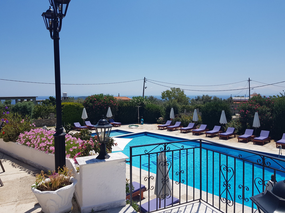 Paradise Hotel主图