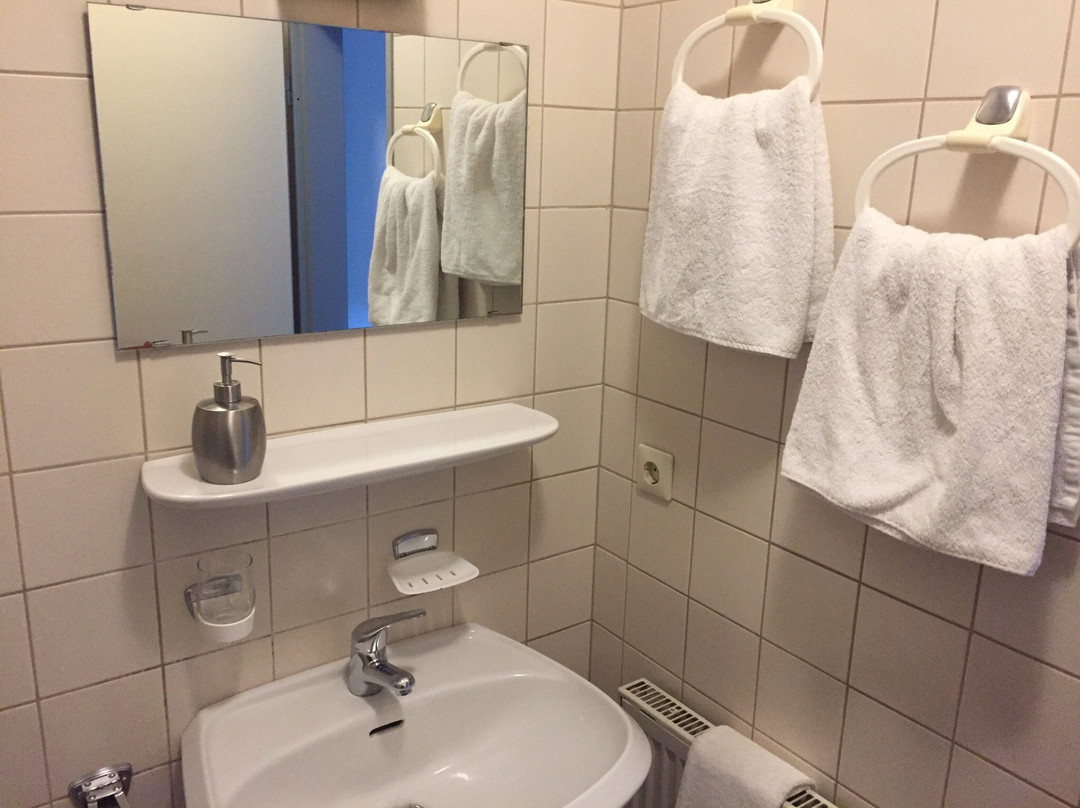 Hotel Schenk主图