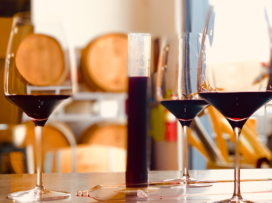 Turiya Wines-隆波克必去景点