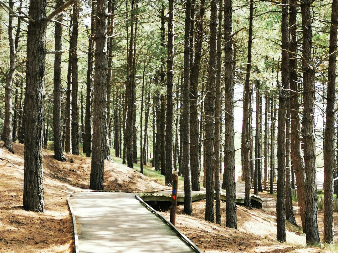 Parc du Marquenterre-Saint-Quentin-en-Tourmont必去景点