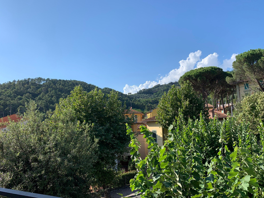 Albergo Casa Rossa主图