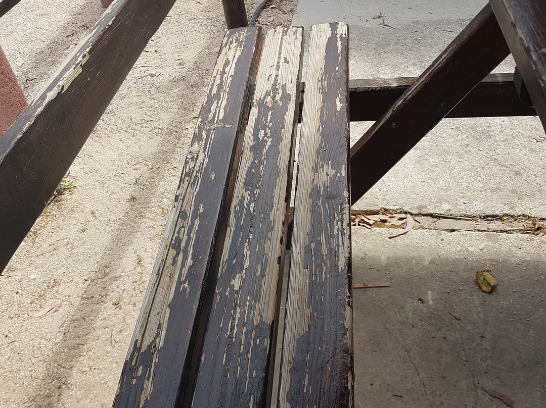 Kiddy Parc-耶尔必去景点