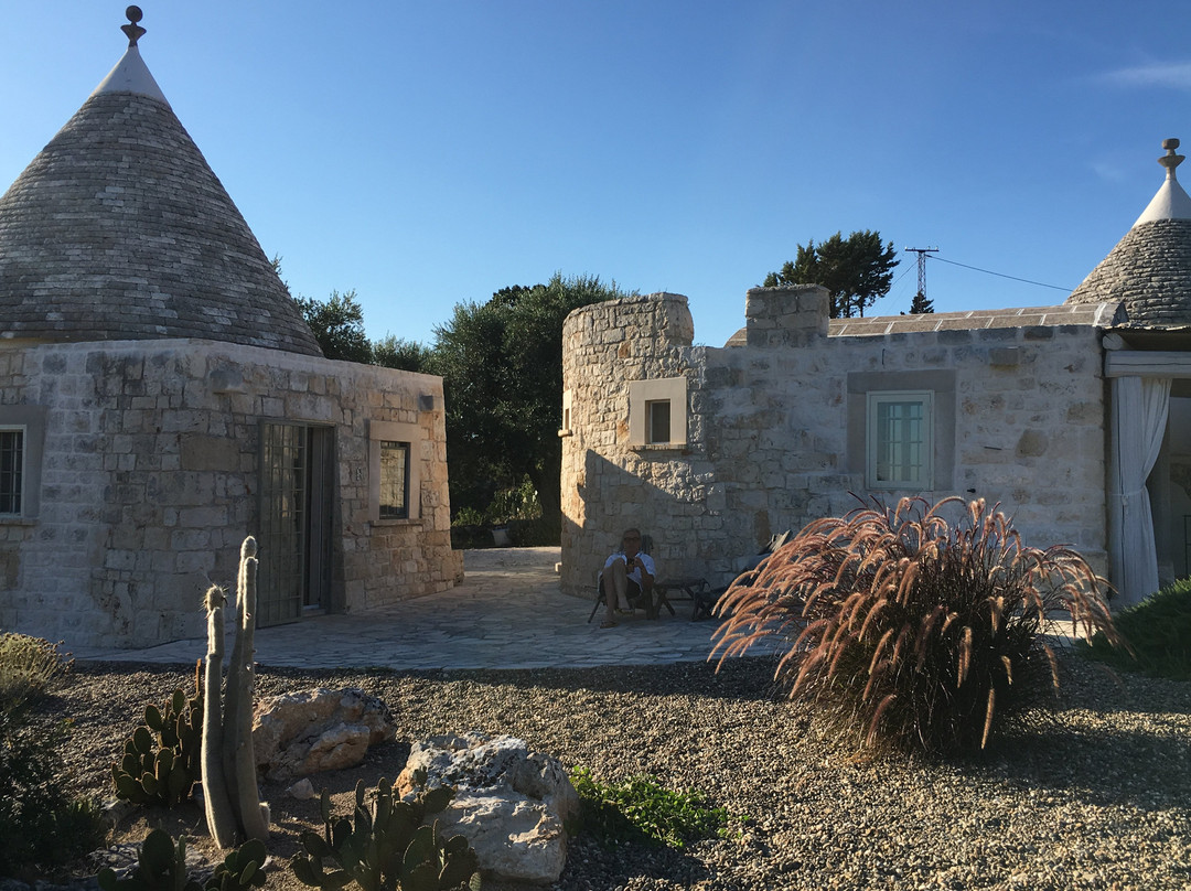 Regina di Ulivi主图