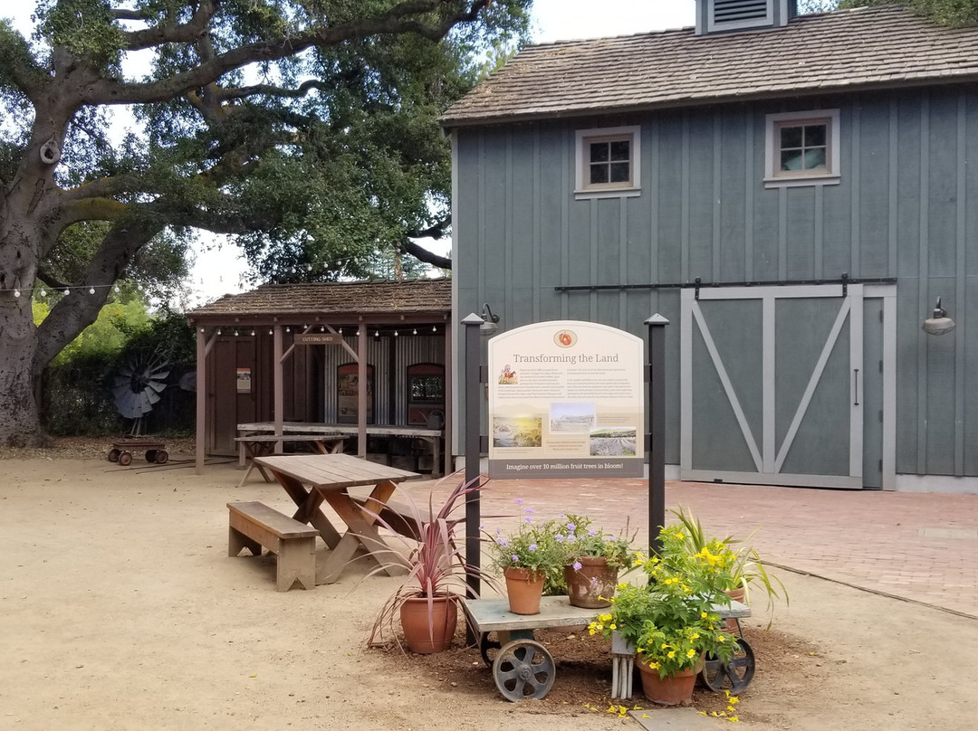 Los Altos History Museum-洛思阿图斯必去景点