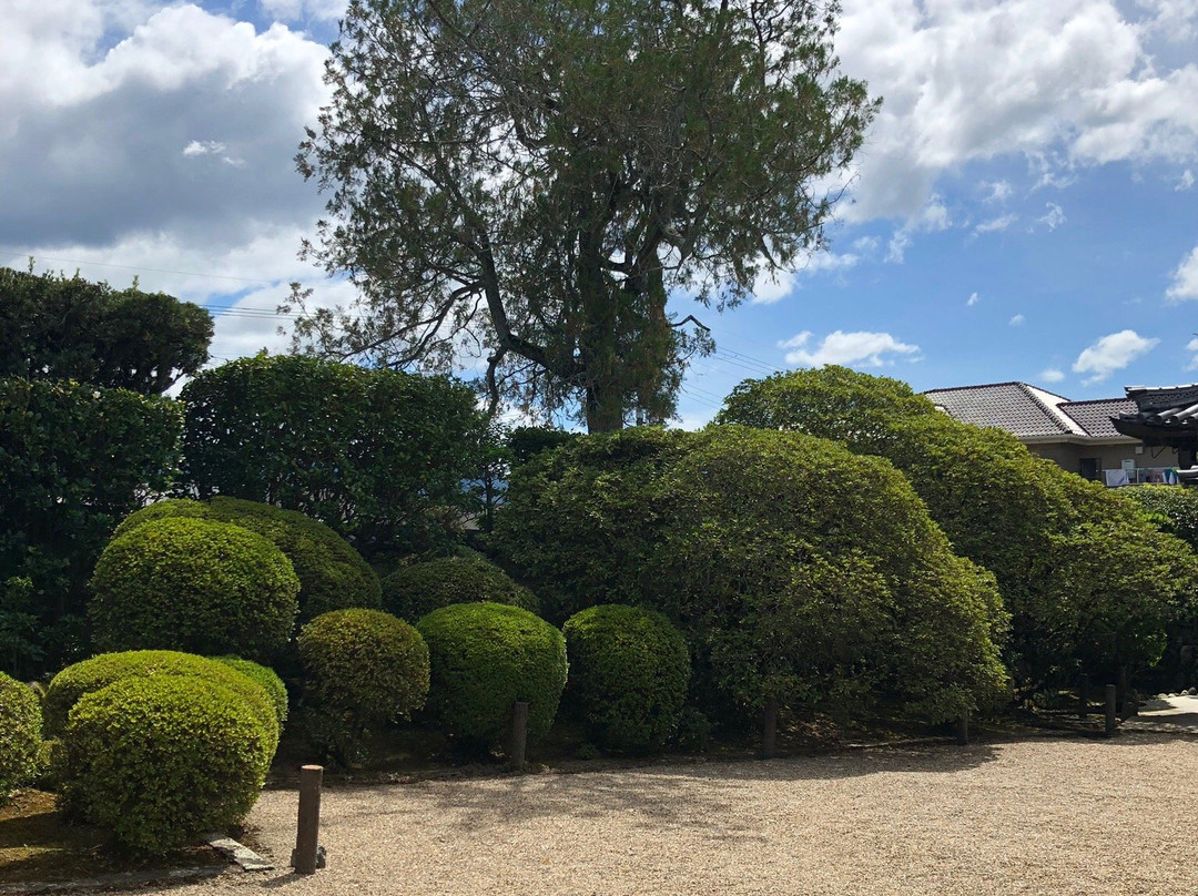 Kongoji Temple-五条市必去景点