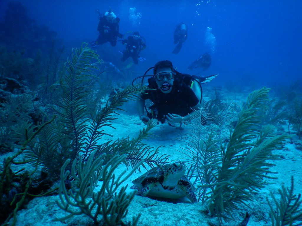 Akumal Bay Dive Center景点图片