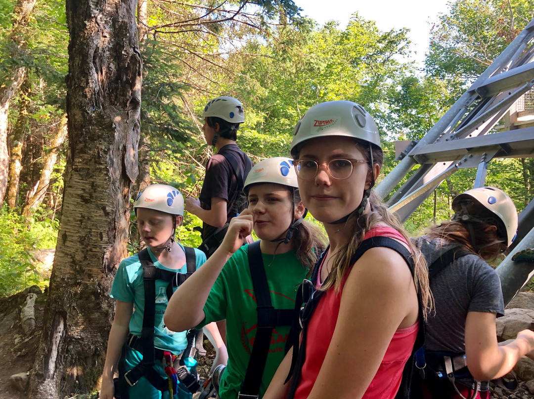 Ziptrek Ecotours景点图片
