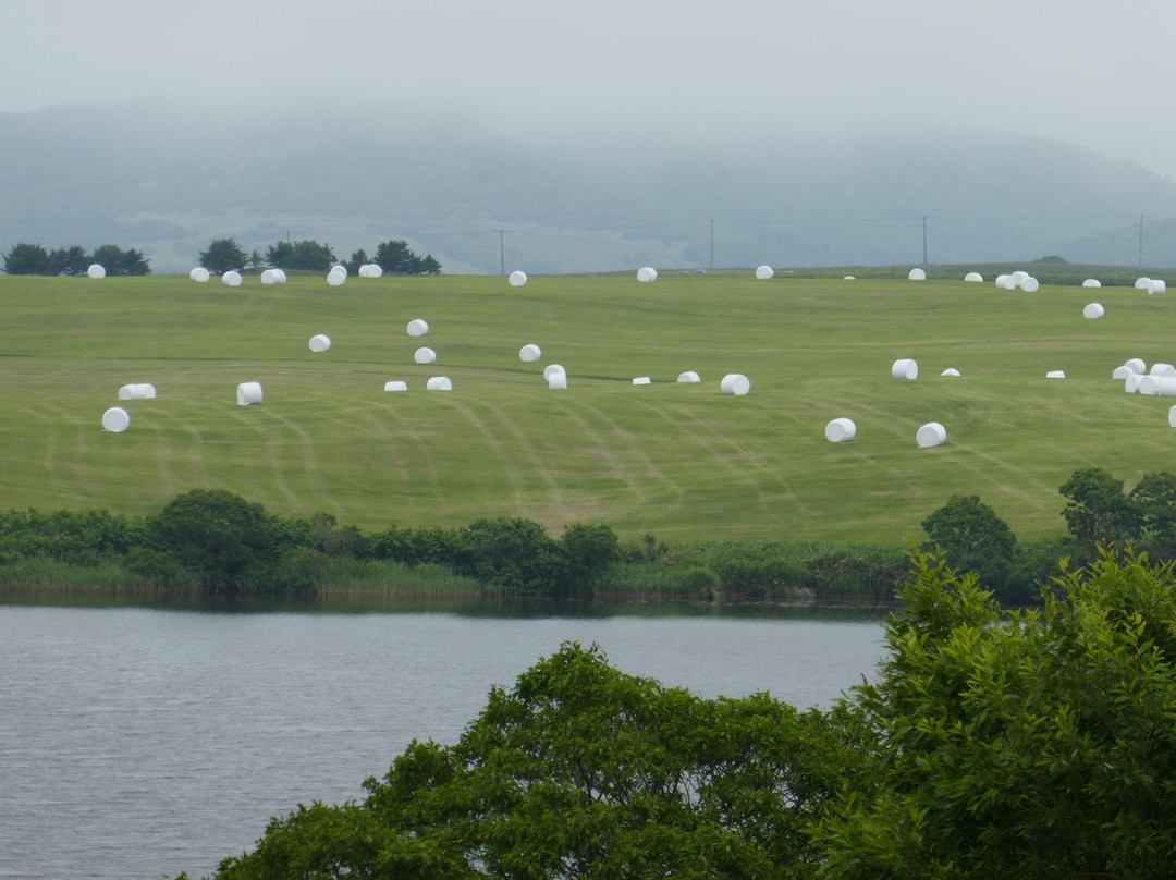 Meguma Primeval Garden-稚内市必去景点