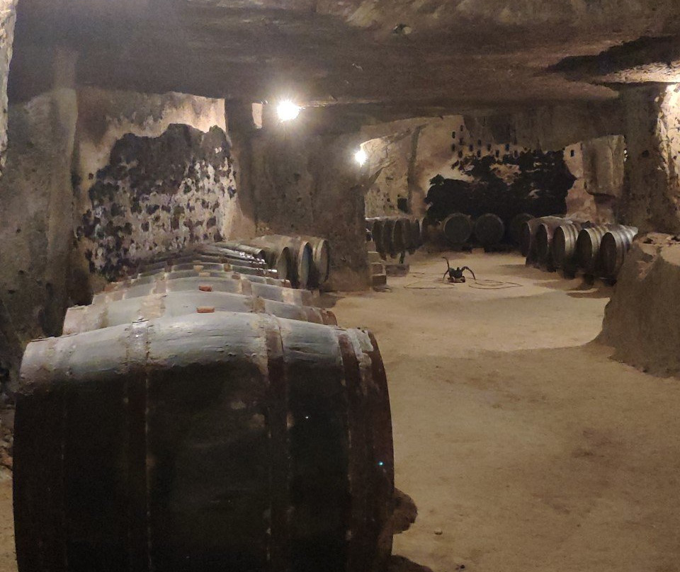 Vignoble de la Jarnoterie-Saint Nicolas de Bourgueil必去景点