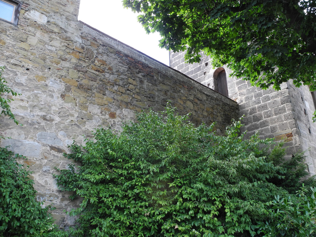 Rinderbacher Torturm景点图片