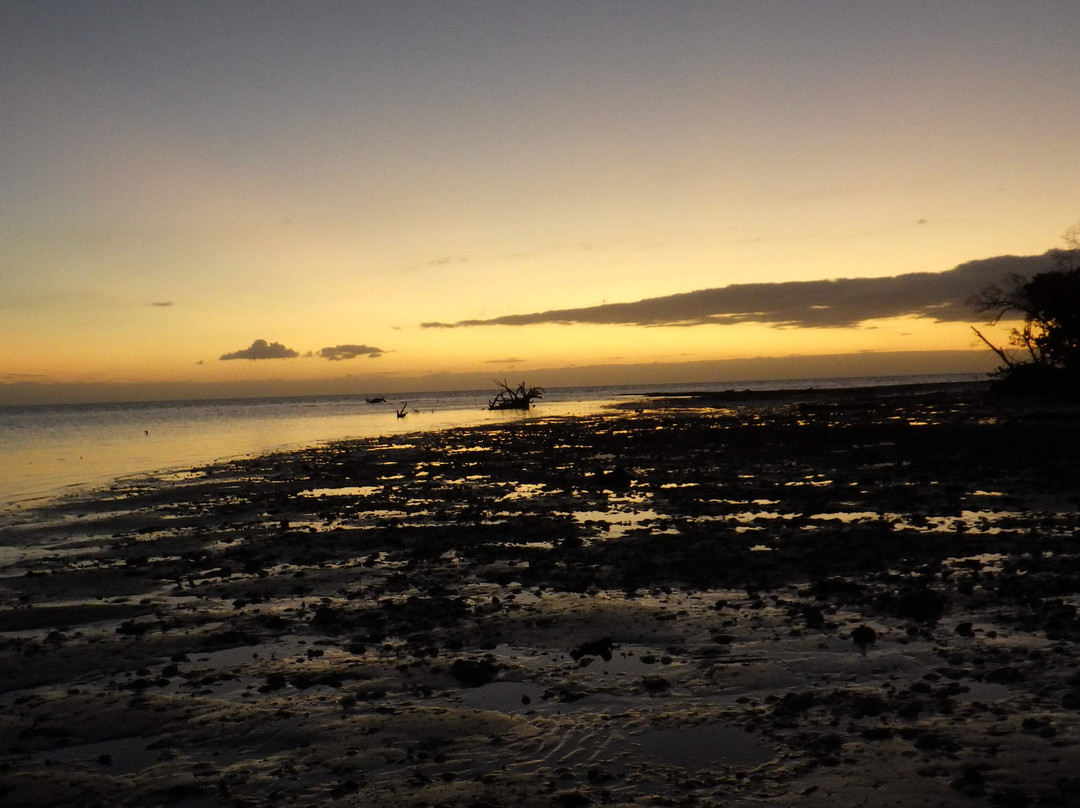 Gulf Coast Visitor Center-大沼泽地必去景点