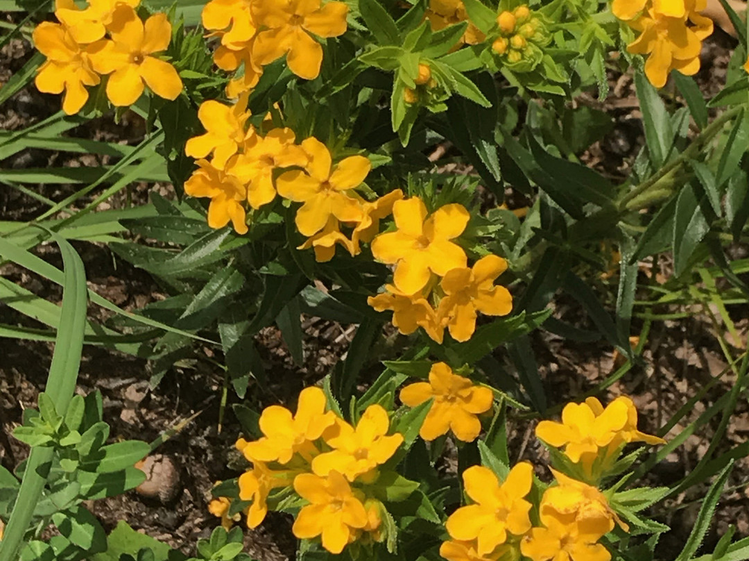 Illinois Beach State Park-Zion必去景点