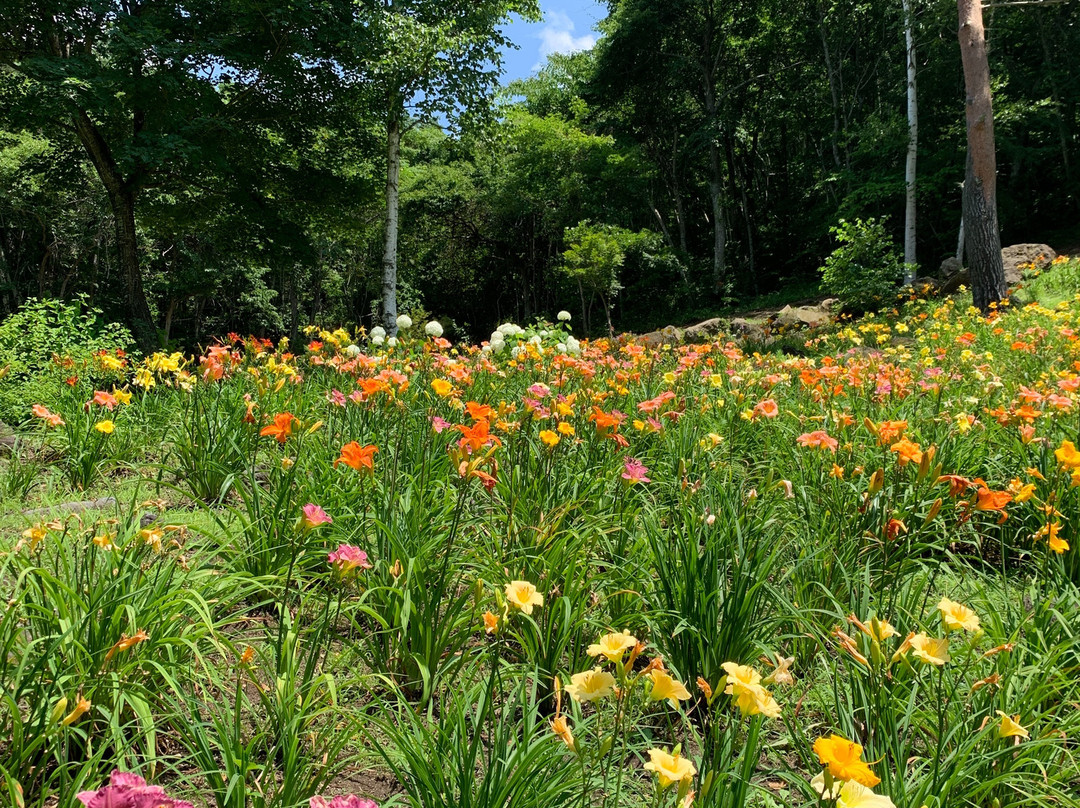 Fujimi Kogen Rresort Hananosato-富士见町必去景点