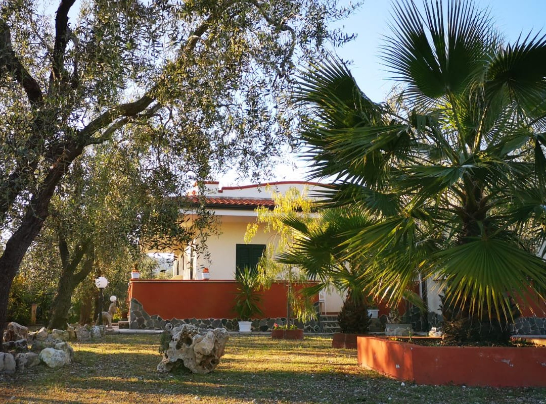 Mandrione酒店住宿-B&B Uliveto Del Gargano