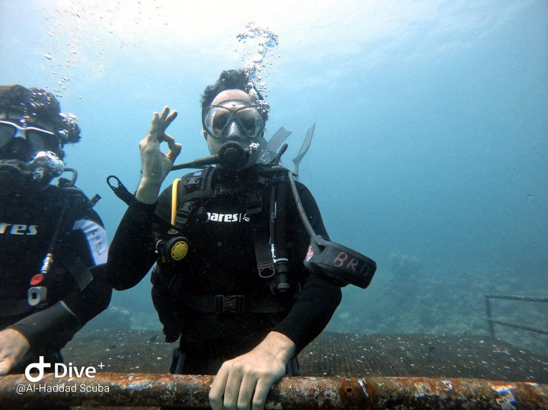 Al-Haddad Scuba-吉达必去景点