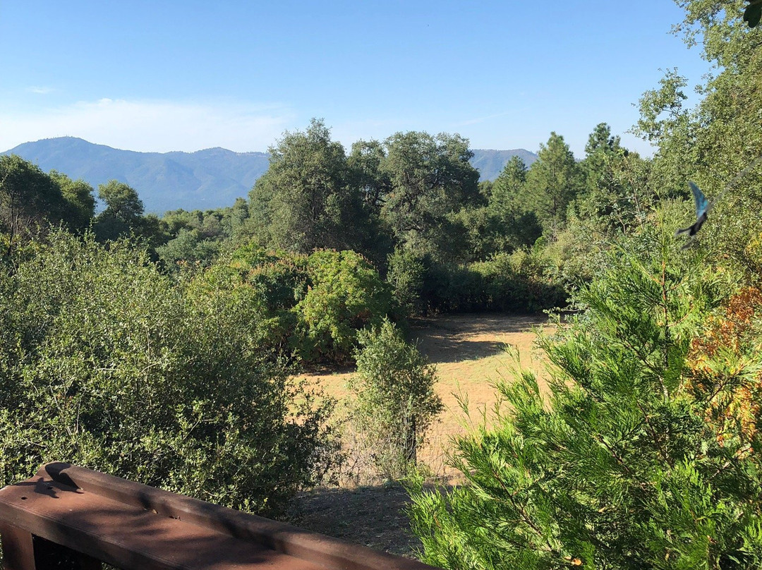 Apple Blossom Inn Yosemite主图