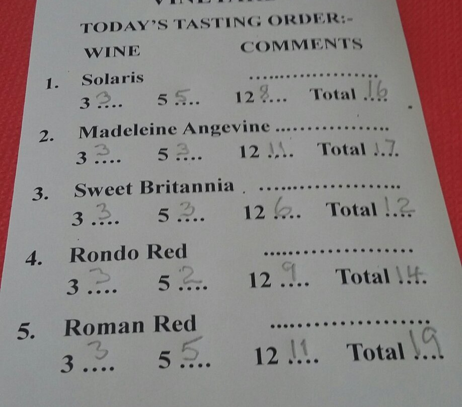 Wroxeter Roman Vineyard-Wroxeter必去景点