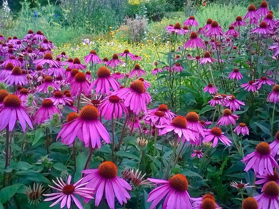 Scotstown旅游攻略图片