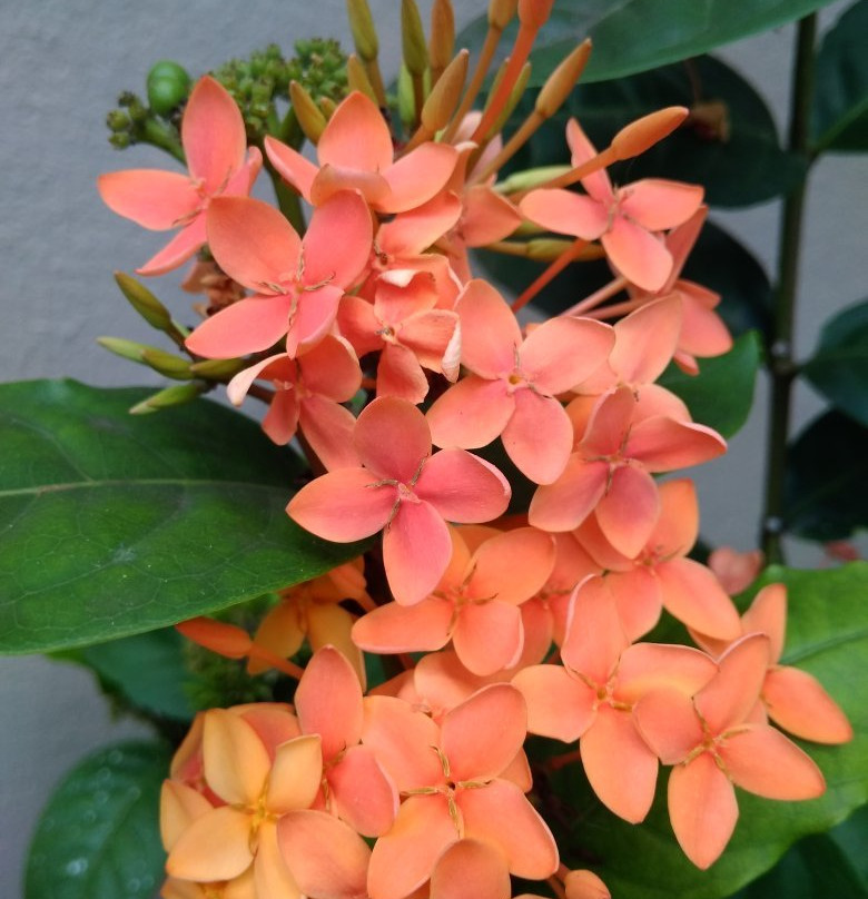 Sanu Lagoon spa-唐卡拉必去景点