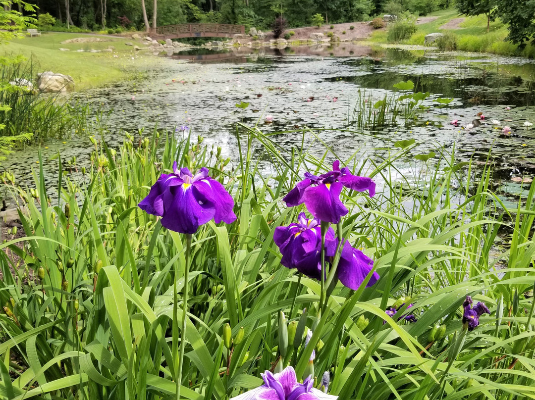 Pittsburgh Botanic Garden景点图片