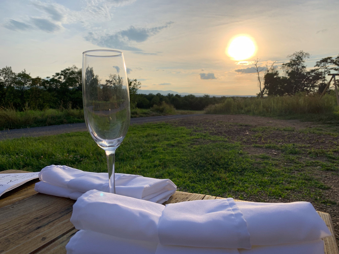 Collective Hudson Valley主图