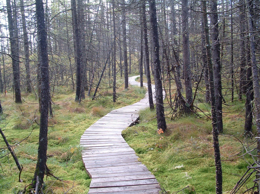 Parc de la rivière Bourbon-Plessisville必去景点