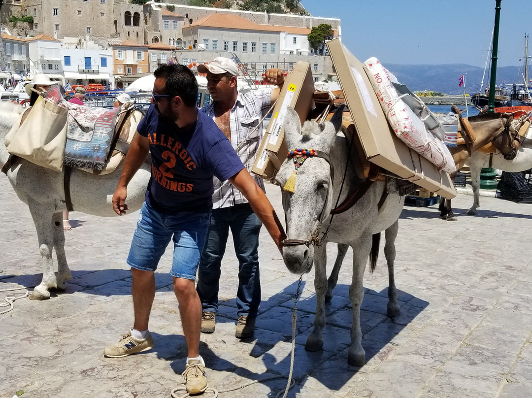 Athens Day Cruise-卡利地亚必去景点