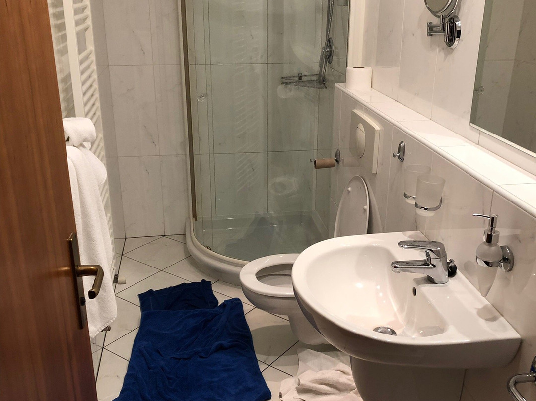 Hotel Villa Conti主图