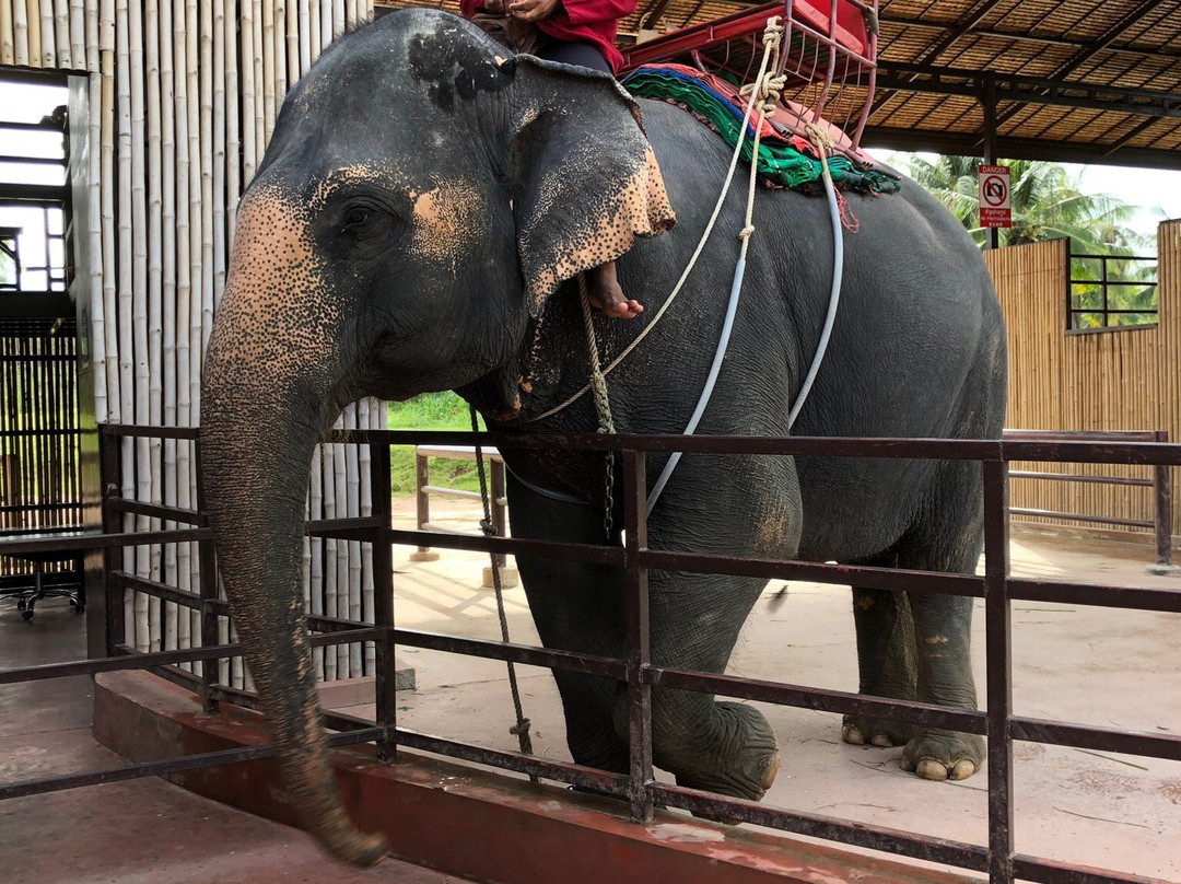 SUANTHAI PATTAYA-Ban Huai Yai必去景点