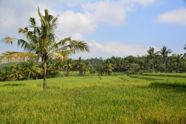 Mas-Mas Tourism Village-Mas-mas必去景点