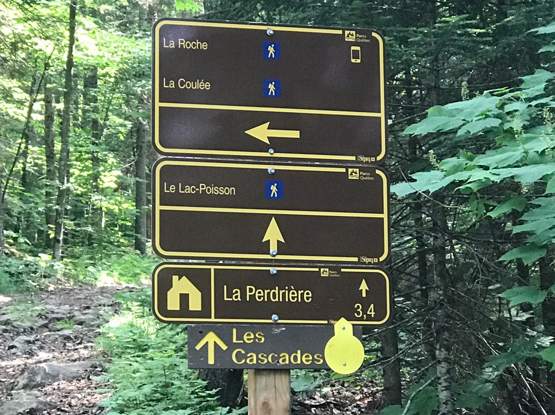 Aventures Parc Mont-Tremblant-塔伯拉山必去景点