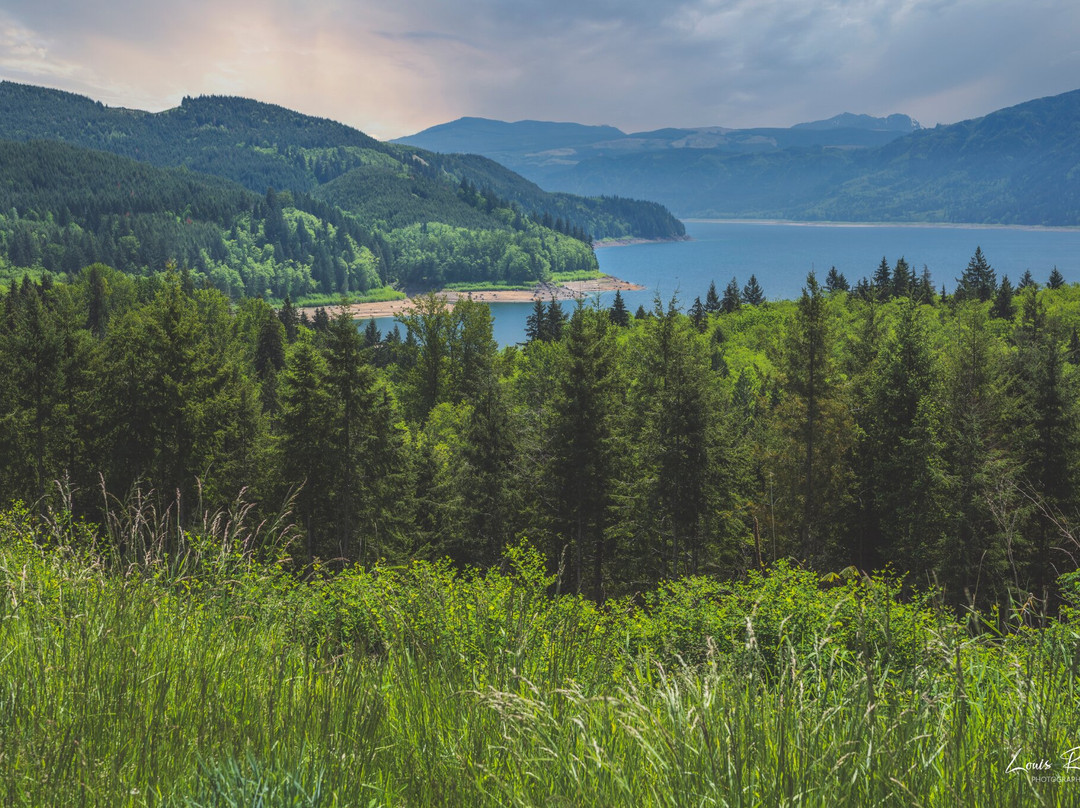 Riffe Lake Campground