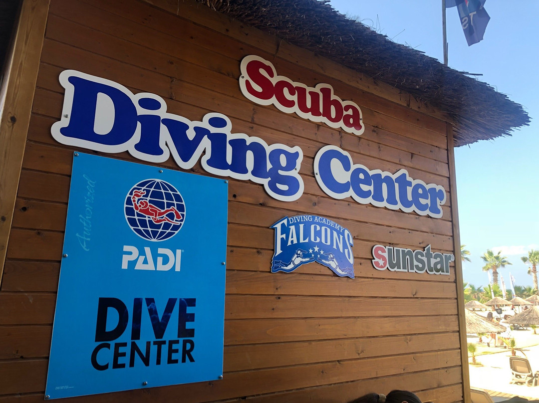 Diving Center Falcons景点图片