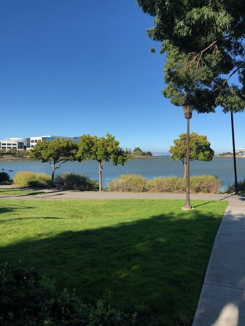 Sonesta ES Suites San Francisco Airport Oyster Point Waterfront-浴室